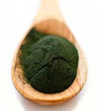 Greens Powder Greens Powder