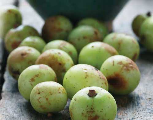 Amla An Amazing Superfruit! Health Article Amla An Amazing Superfruit! Health Article