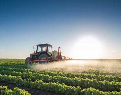 Pesticides Can Affect Generations Pesticides Can Affect Generations