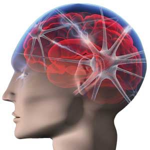 Your Brain has a Second Chance Article Your Brain has a Second Chance Article