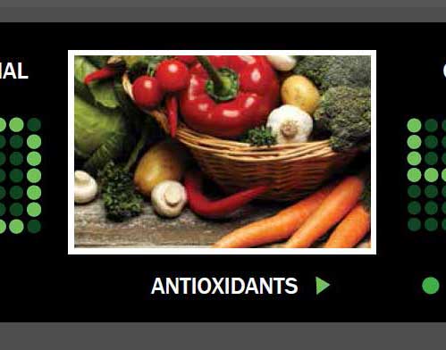 Organic Wins Organic Wins