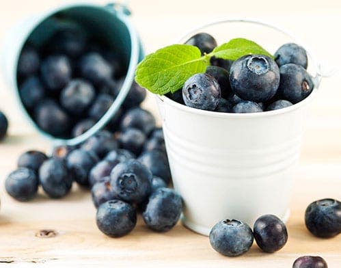 Blueberries-May-Fight-the-Blues Blueberries-May-Fight-the-Blues