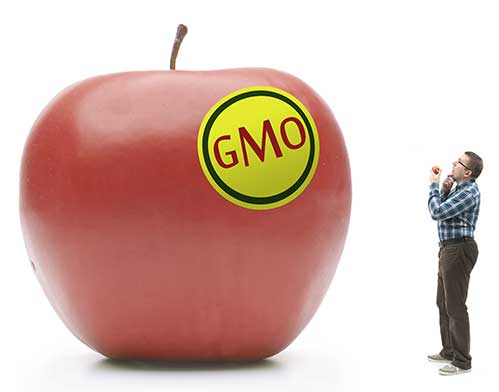GMO Apple GMO Apple