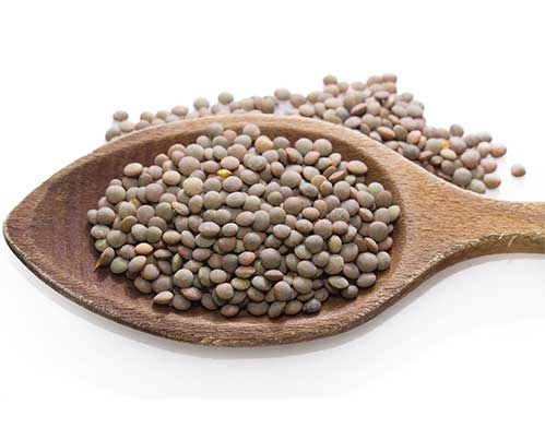 Organic Lentil Beans