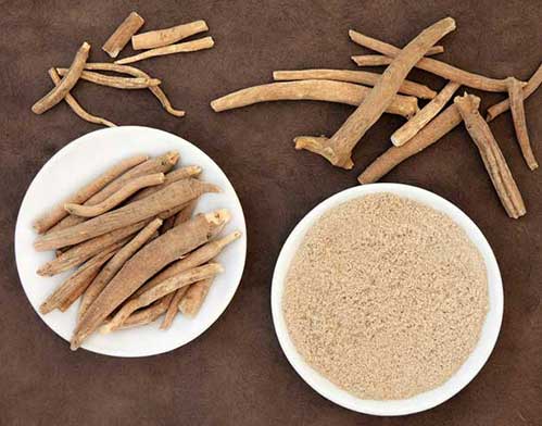 Ashwagandha Ashwagandha