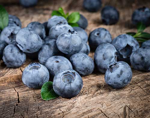 Organic Blueberries with Leaves