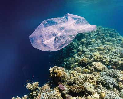 Plastic Bag in Ocean Plastic Bag in Ocean