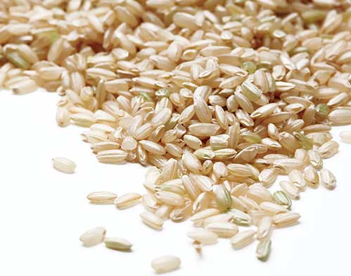 Organic Brown Rice Organic Brown Rice