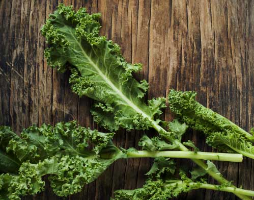 Organic Kale Organic Kale