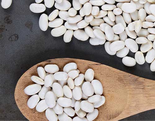 Organic Navy Beans Organic Navy Beans