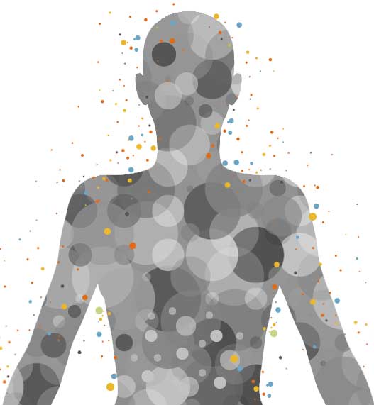Dr. Formulated Microbiome Dr. Formulated Microbiome