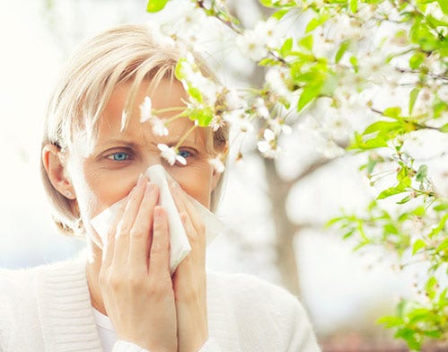 natural strategies seasonal allergies