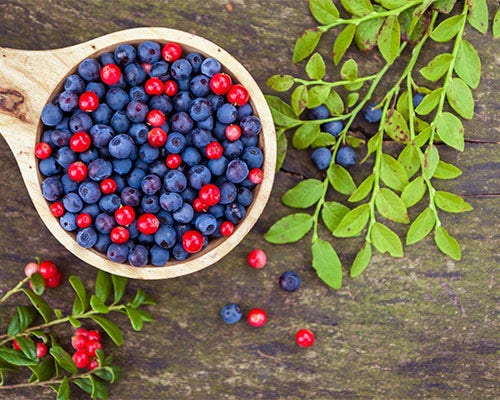 mixed berries in a cup