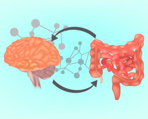 The gut-brain relationship The gut-brain relationship