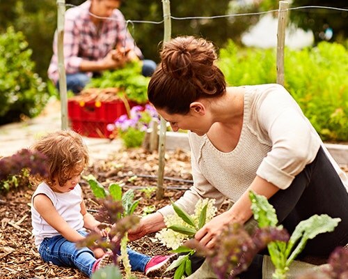 What’s In Your Organic Garden? What’s In Your Organic Garden?