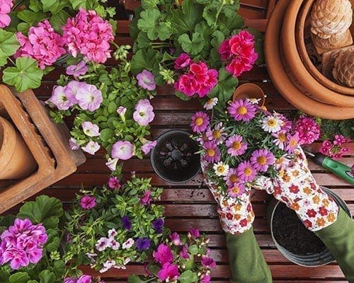 5 Ways to Grow Excited for Spring