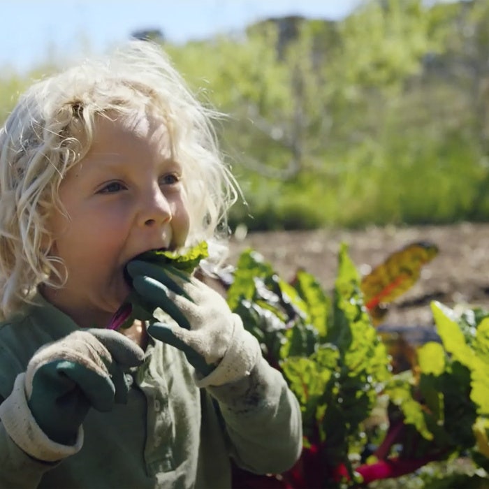 Garden of Life Dr. Formulated Probiotics Once Daily Women photo