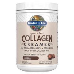 Grass Fed Collagen Creamer Powder - Chocolate