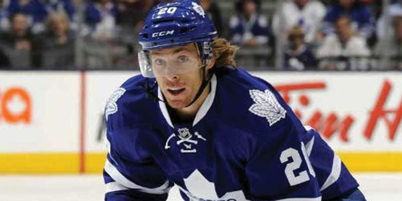 David Booth Professional Hockey David Booth Professional Hockey