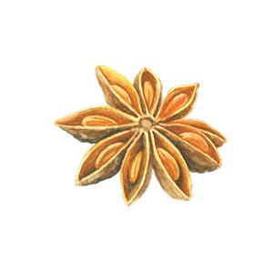 anise seed