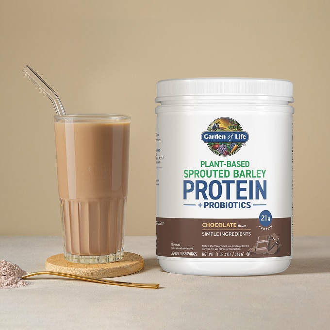Sprouted Barley Protein + Probiotics Powder - Chocolate