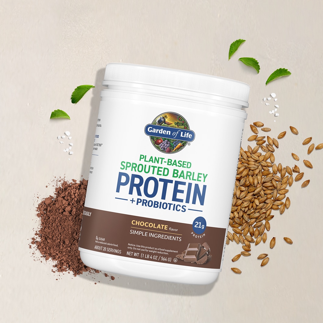 Sprouted Barley Protein + Probiotics Powder - Chocolate