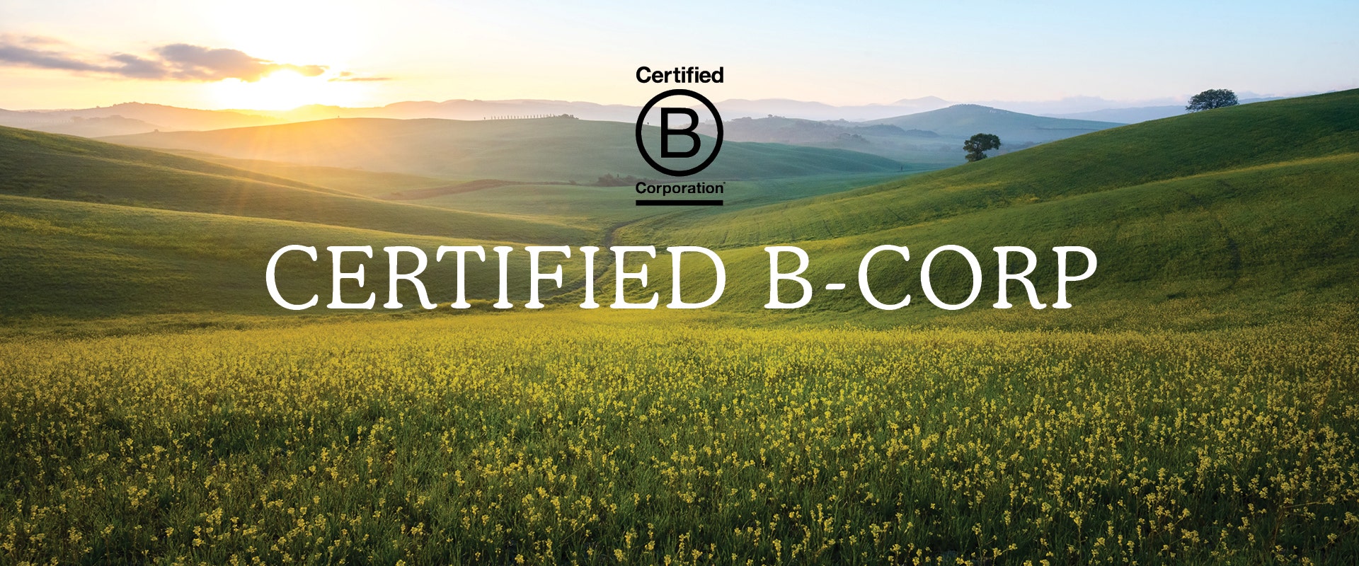 Certified B Corp