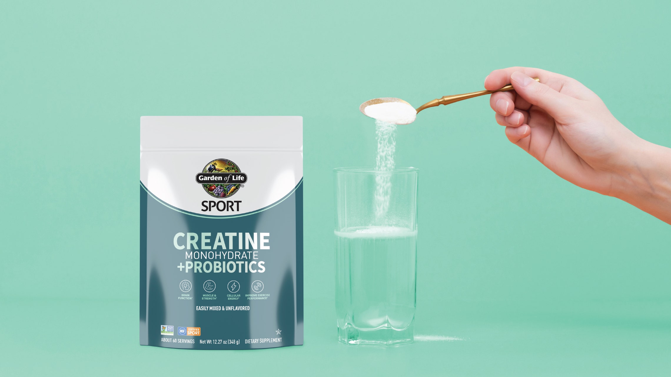 creatine monohydrate powder