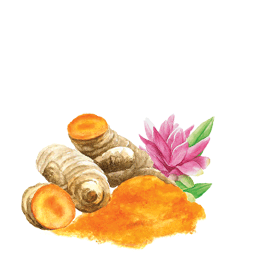 turmeric