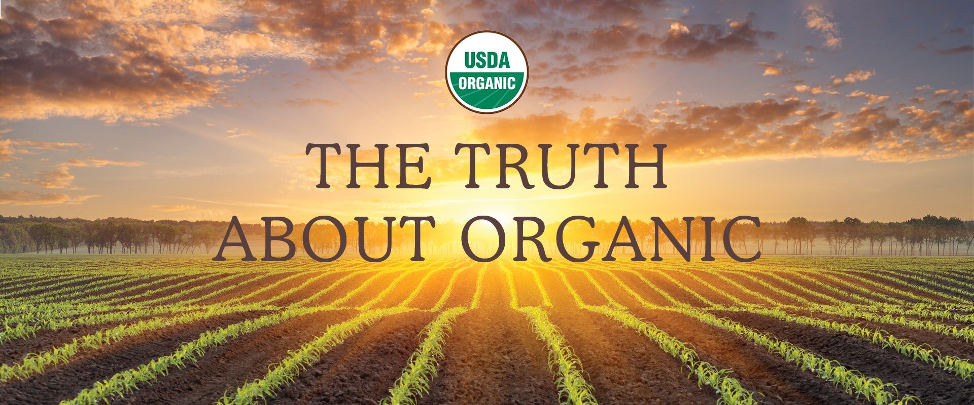 The Truth About Organic