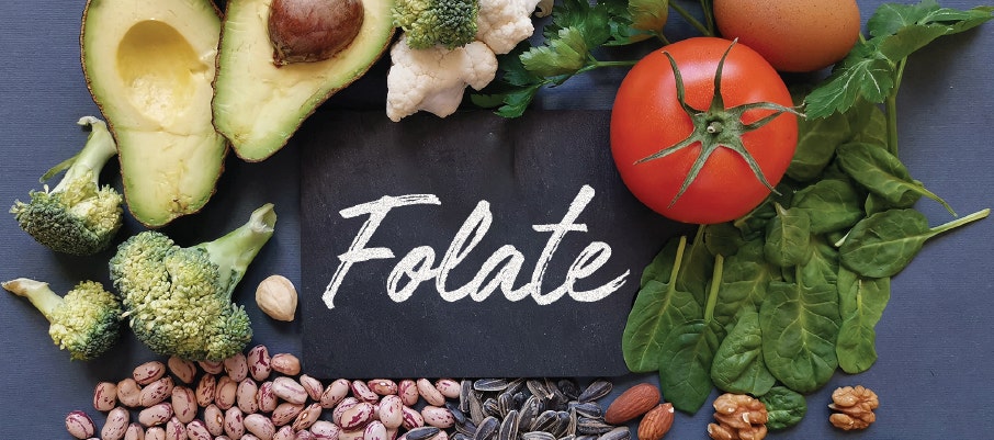 folate b vitamin