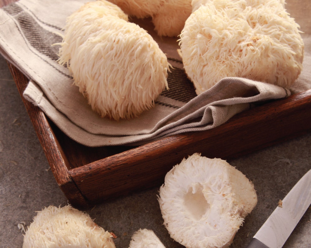 Lions Mane Benefits 