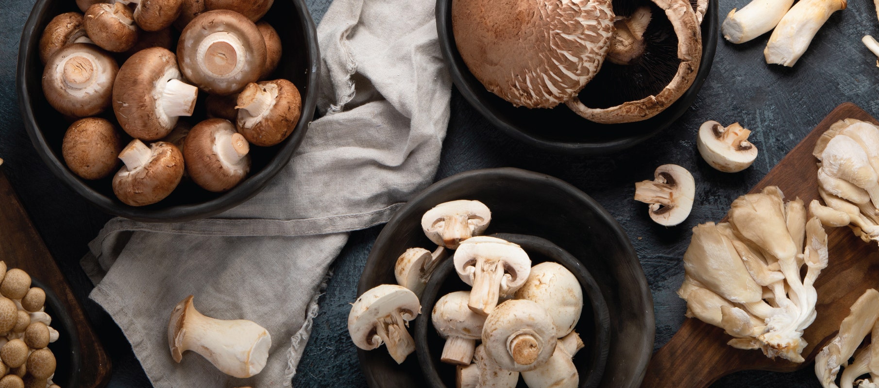 Mushroom Benefits