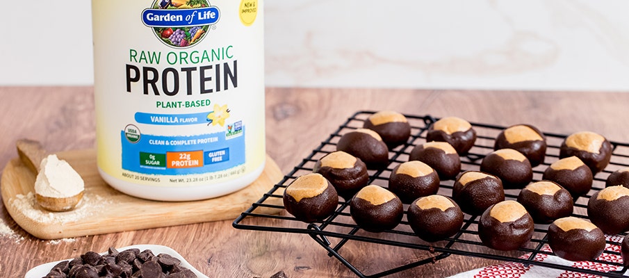 Protein Peanut Butter Buckeyes Recipe