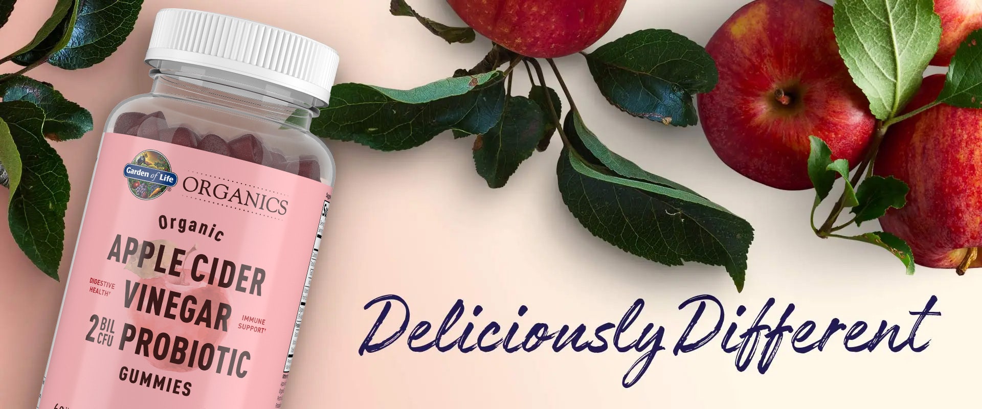 probiotic gummies