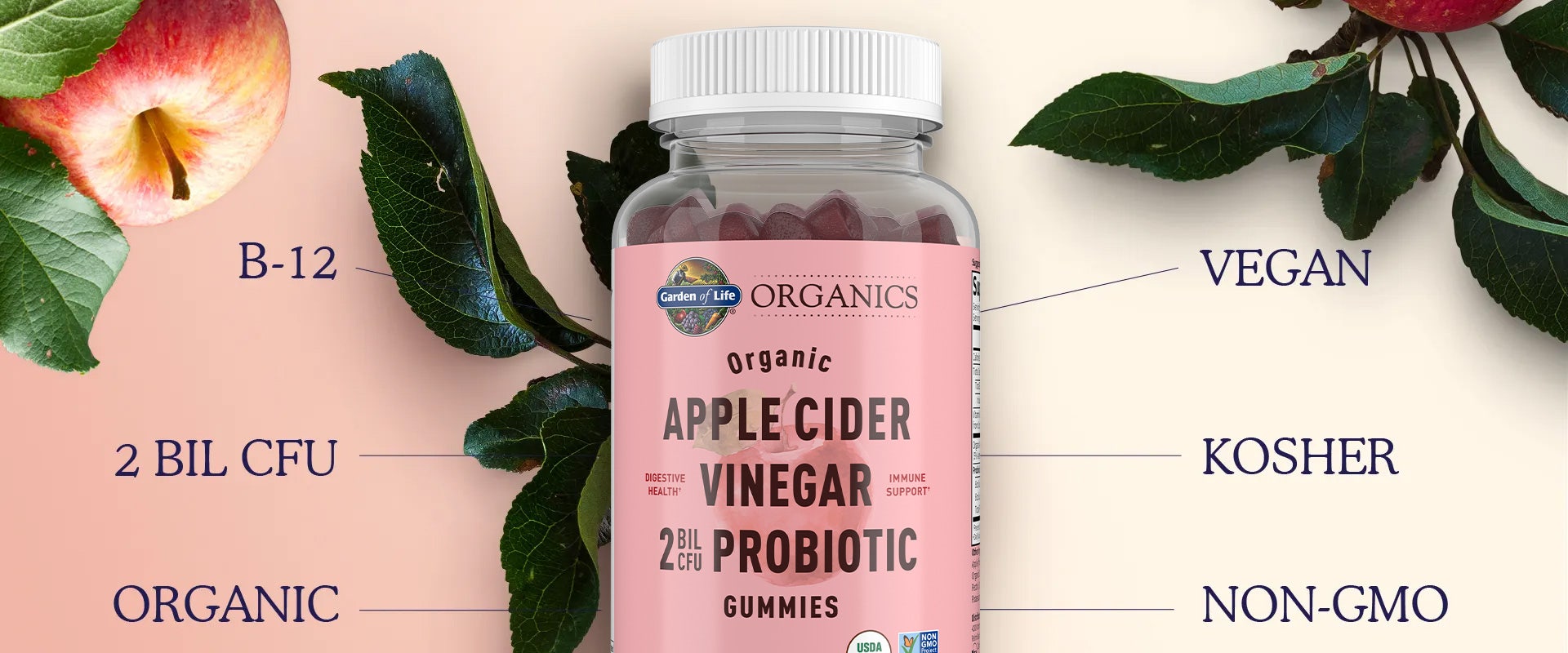 probiotic gummies