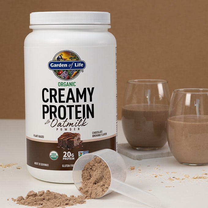 Best Tasting Chocolate Protein Powder 