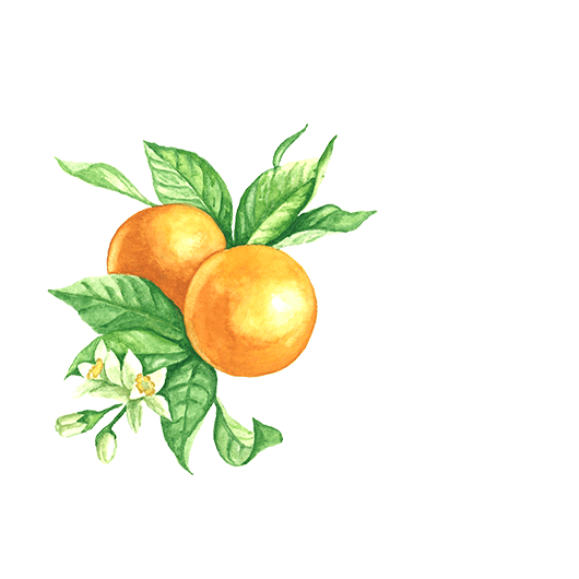 bitter orange