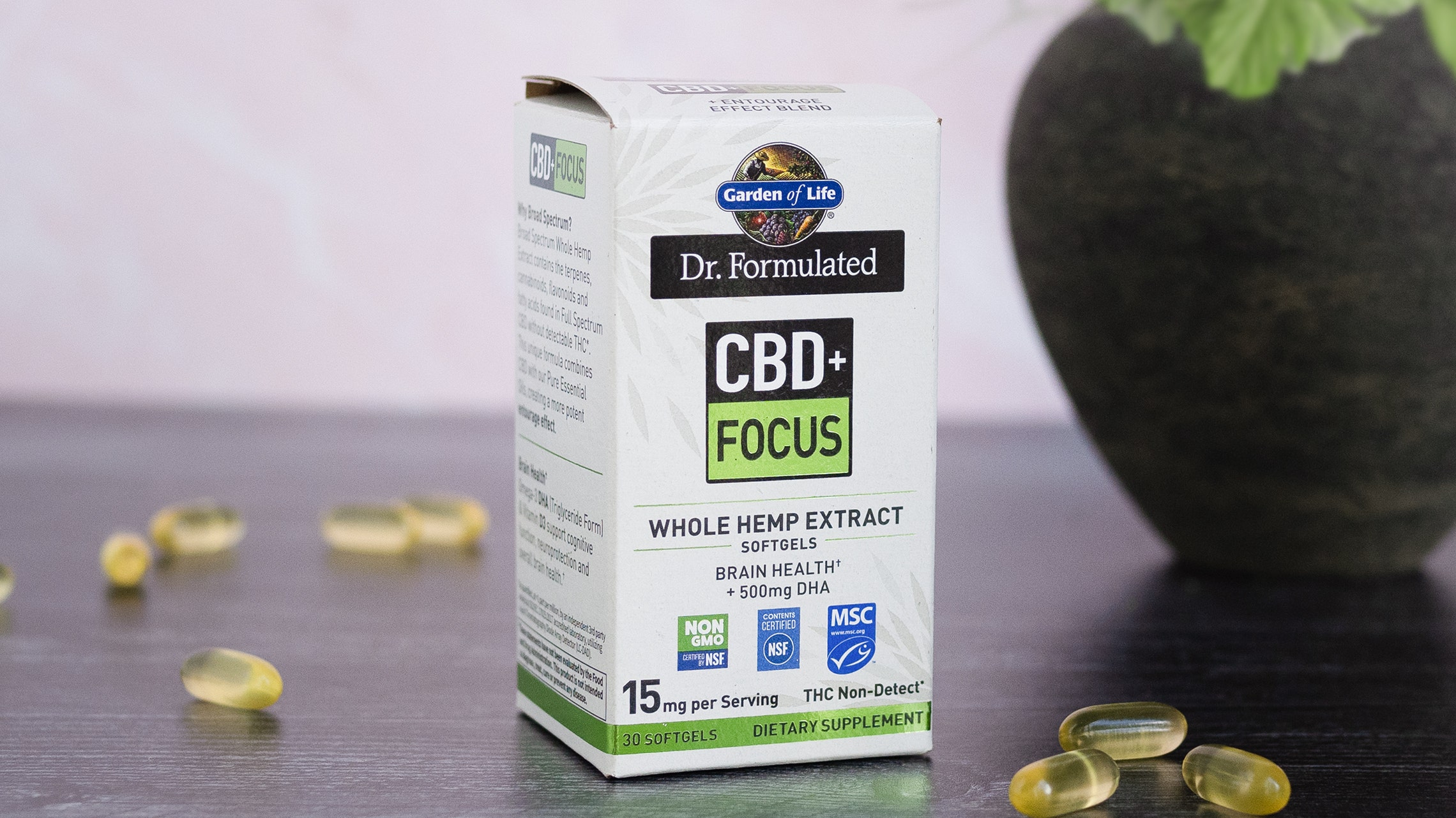 CBD Focus Pills