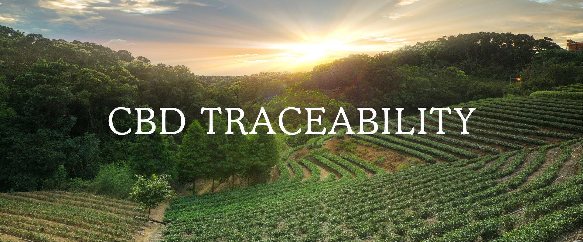 CBD Traceability