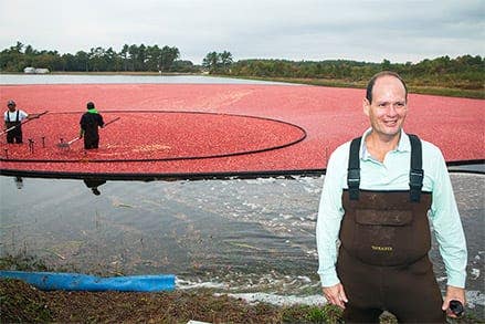 Organic Cranberries