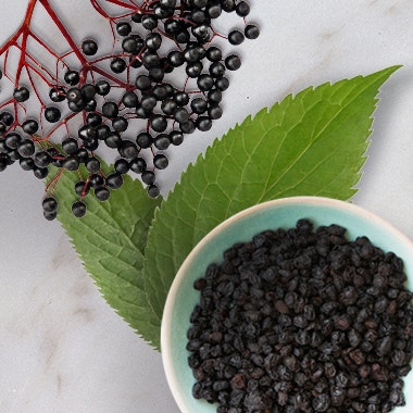 elderberry immune syrup