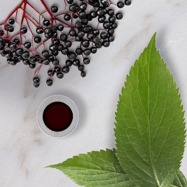 Elderberry Nighttime Syrup