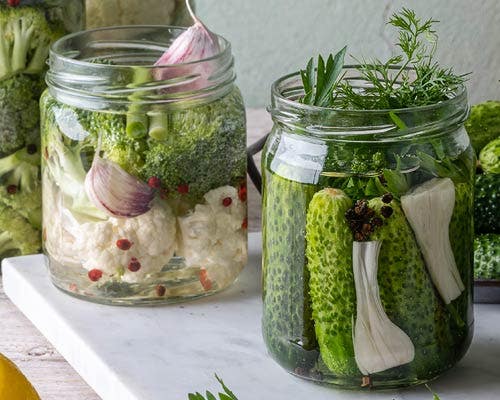 Fermented Foods