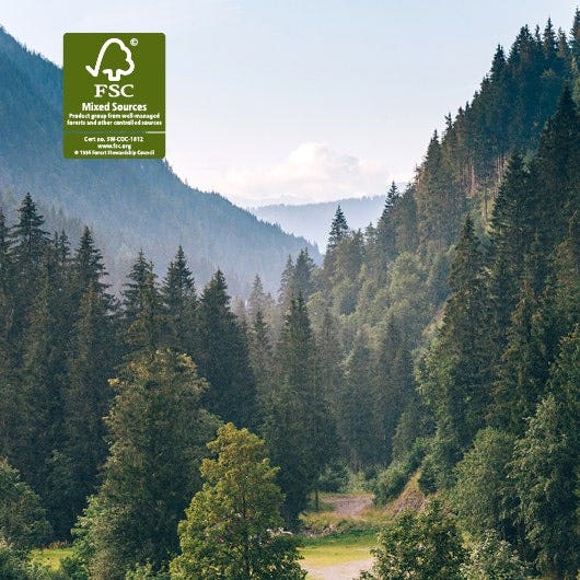 FSC – Forests For All Forever