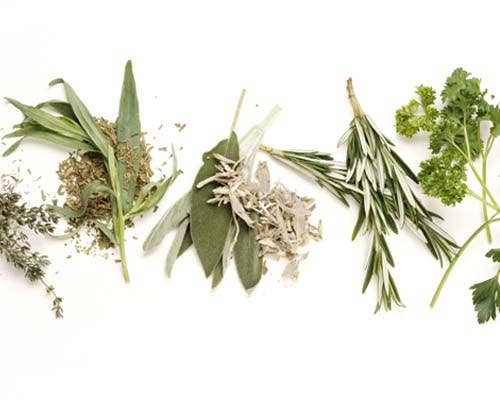 Fresh vs. dried herb