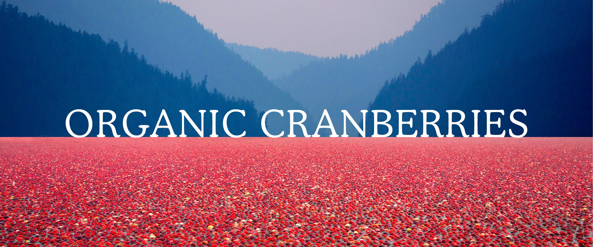 Organic Cranberries