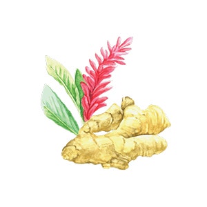 ginger root