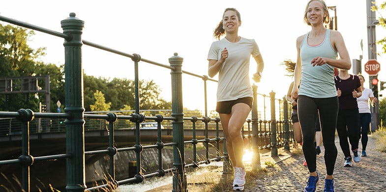 Gut Bacteria and Bone Health