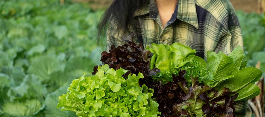 health benefits of greens
